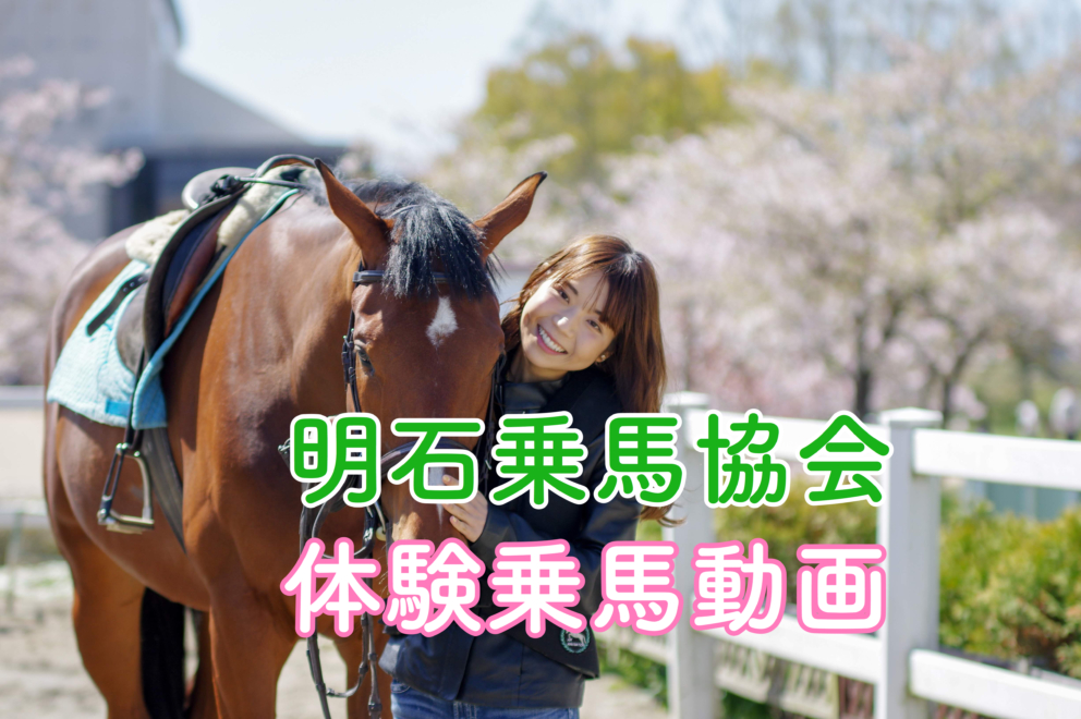 体験乗馬動画 | 兵庫県神戸から近い乗馬クラブ 明石乗馬協会